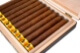 Buy Dunbarton Tobacco & Trust Barba Amarilla Online at Small Batch Cigar