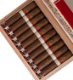 Buy Crowned Heads Coroneta Habano Earl Online at Small Batch Cigar
