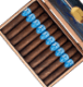 Buy ADVentura Blue Eyed Jack’s Revenge Robusto Online at Small Batch Cigar