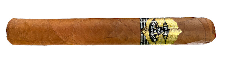 Warped Isla del Cocodrilo Review