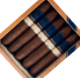 Buy Cavalier Genéve Limited Edition 2024 Online at Small Batch Cigar
