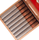 Buy El Rey del Mundo King of the World LE Online at Small Batch Cigar