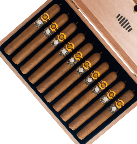 Buy Warped La Colmena 10th Anniversary Amado No.50 Online at Small Batch
