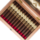 Buy Aladino Cameroon Reserva Online at Small Batch Cigar