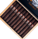 Buy Intergalactic EVENT HORIZON Robusto by BLK WKS Studio Online at Small Batch Cigar