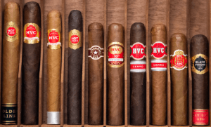 Buy HVC Big Brand Sampler Online: This HVC sampler features ten different HVC cigars. If your looking to try HVC cigars look no further!