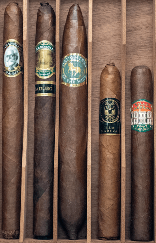 Buy the Casdagli Brand Sampler Online: This sampler features five different cigars from Casdagli Cigars.