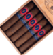 Buy Ceniza Fina Corojo Box Press Robusto Gordo Online at Small Batch Cigar