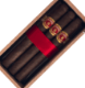 Buy La Riqueza SE 2024 Online at Small Batch Cigar