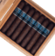 Buy Warped Sarto Toro at Small Batch Cigar