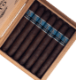 Buy Warped Sarto Double Corona at Small Batch Cigar