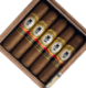 Buy Lampert Señorito Half Corona Online at Small Batch Cigar