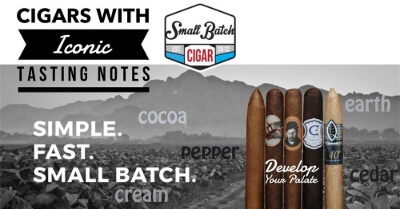Develop Your Palate: Iconic Cigars for Classic Tasting Notes