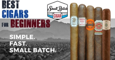 Best Cigars for Beginners