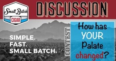 Discussion: Palate Changes