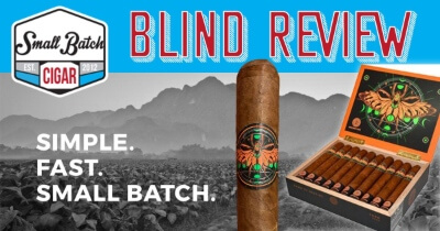 BLIND Archetype Dawn of Destiny Review