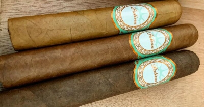 Patina Adds Maduro Line in Two Sizes