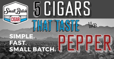 5 Cigars that Showcase Pepper Tasting Notes
