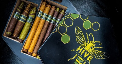 Black Works Studio Ships HIVE