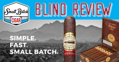 Punch Cigar City Maduro Review (BLIND)