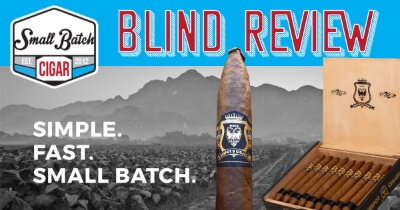 Despot Salomon Review (BLIND)