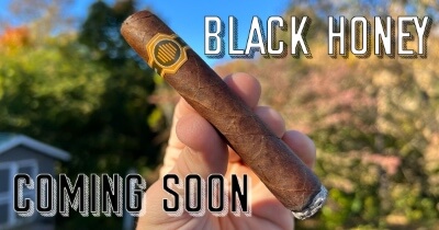 Warped Black Honey is Coming Soon!