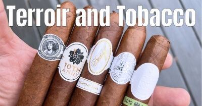 The Role of Terroir in Cigar Flavors