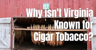 Why Isn't Virginia Known For Cigar Tobacco?