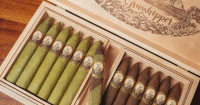 Introducing our Newest Exclusive: The Grasshopper by Foundation