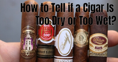 How to Tell if a Cigar Is Too Dry or Too Wet