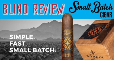 Domain Neutron Review (BLIND)