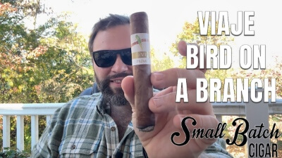 Viaje Bird on a Branch Review (Video)
