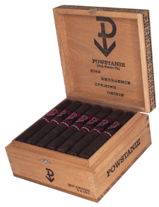 Buy Powstanie San Andrés Robusto Online at Small Batch Cigar