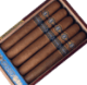 Buy Avowed New Dawn Toro Online