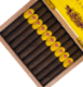 Buy Room101 15th Anniversary Online at Small Batch Cigar