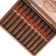Buy Punch Grand Cru Robustos Online at Small Batch Cigar