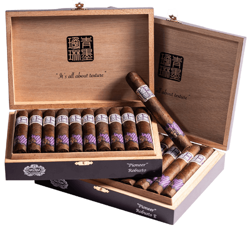Picture of ChiMolly Pioneer Robusto