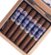 Buy Chateau Diadem Certitude Robusto Online at Small Batch Cigar