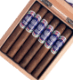 Buy Chateau Diadem Certitude Toro Online at Small Batch Cigar