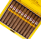 Buy Adrian Magnus Millennium 5 Years Gran Toro at Small Batch Cigar