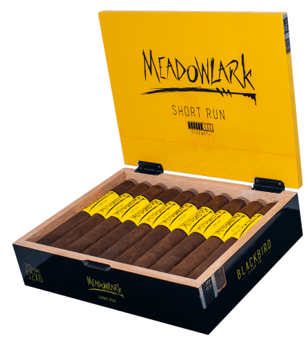 Buy Blackbird Cigar Co Meadowlark Toro Online at Small Batch Cigar