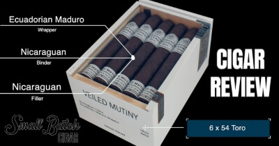 HDA Veiled Mutiny Review (Video)