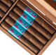 Buy Powstanie SBC24 Online at Small Batch Cigar