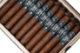Buy Black Label Trading Co. Eletto Corona Gorda Online at Small Batch Cigar