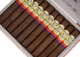 Buy Aganorsa Leaf Supreme Leaf Gran Toro Online at Small Batch Cigar