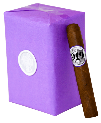 Buy Castle 919 Robusto by Stolen Throne Cigars Online: