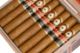 Buy Perdomo 12 Year Aged Vintage Connecticut Gordo at Small Batch Cigar