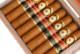Buy Perdomo 12 Year Aged Vintage Connecticut Robusto at Small Batch Cigar