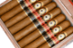 Buy Perdomo 12 Year Aged Vintage Connecticut Epicure at Small Batch Cigar