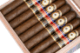 Buy Perdomo 12 Year Aged Vintage Maduro Epicure at Small Batch Cigar